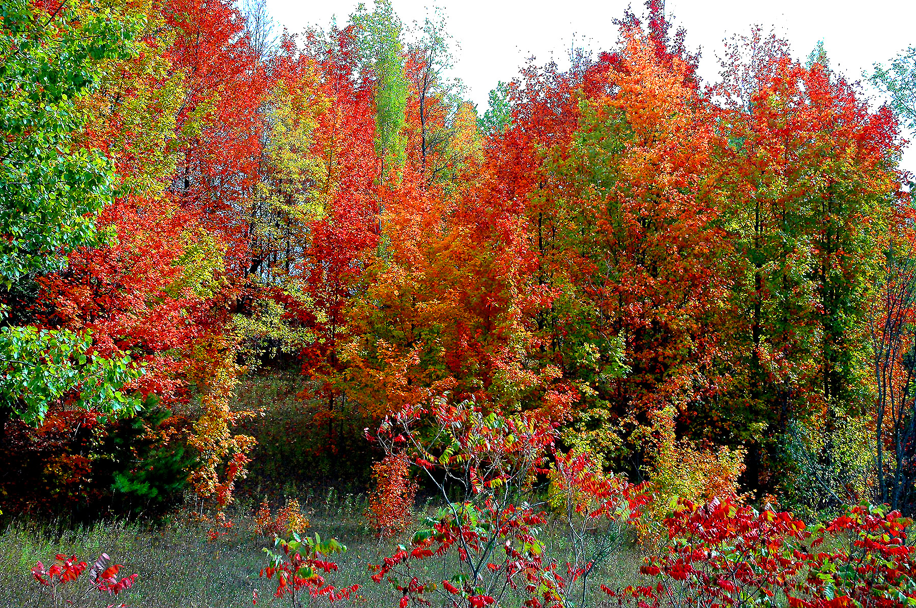 DSC_7280.JPG