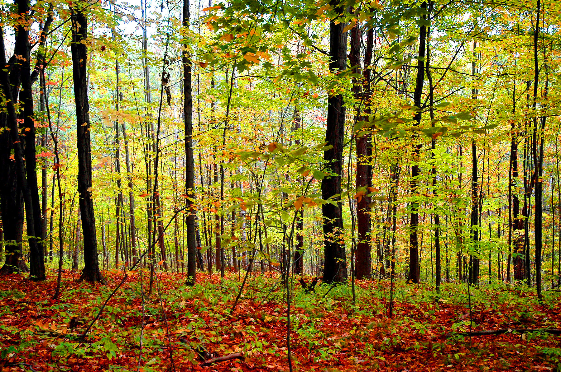 DSC_7297.JPG