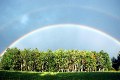 DSC_1000 - Rainbow - Full Double over Trees - 4001.jpg