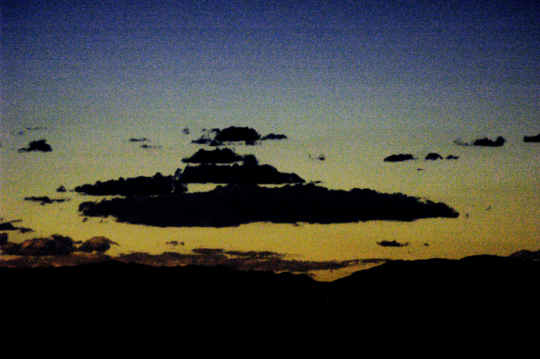 DSC_2383.JPG