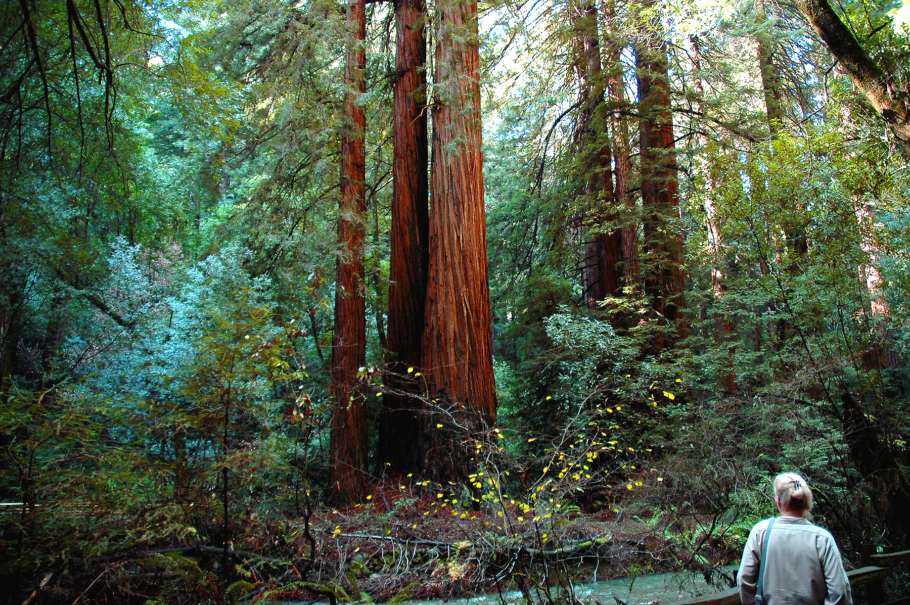 DSC_4664.JPG