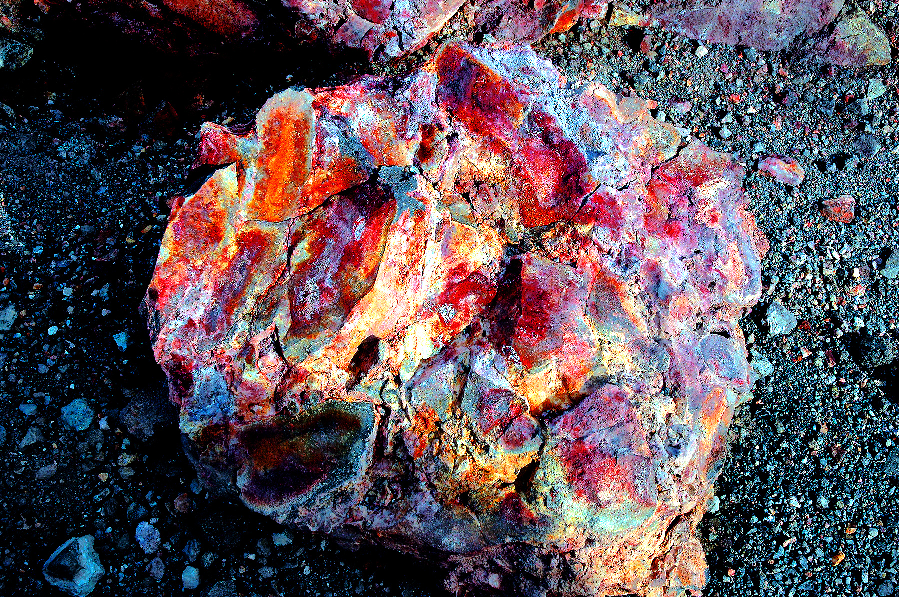 DSC_1776.JPG