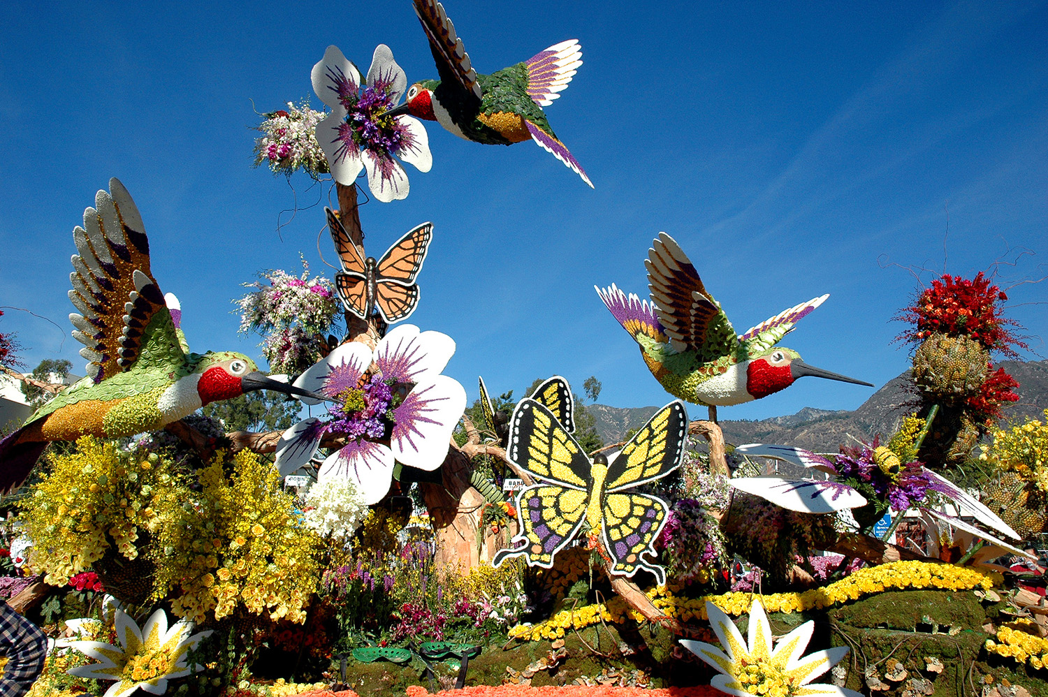 Website - A68 - Hummingbird Rose Float