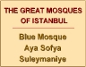 Slide05-The Great Mosques.JPG