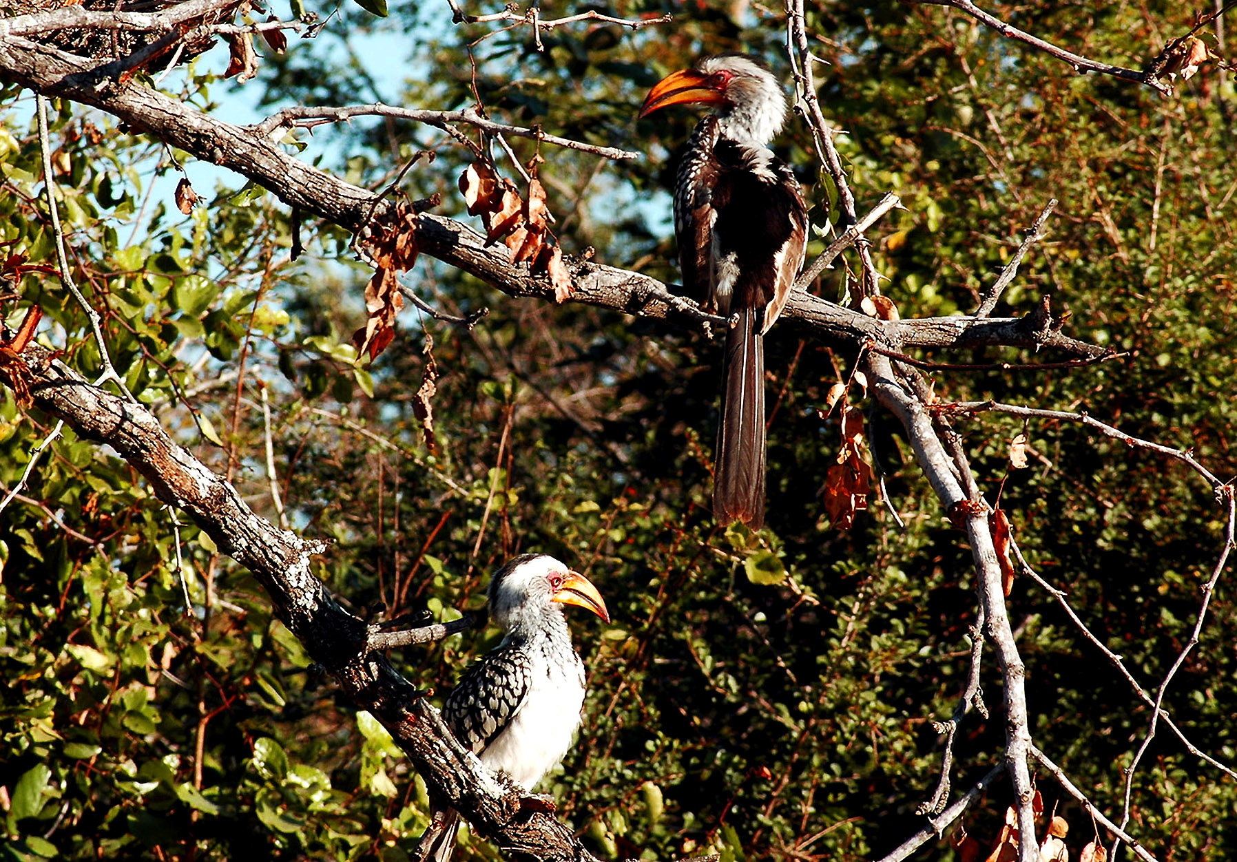 DSC_0294.JPG