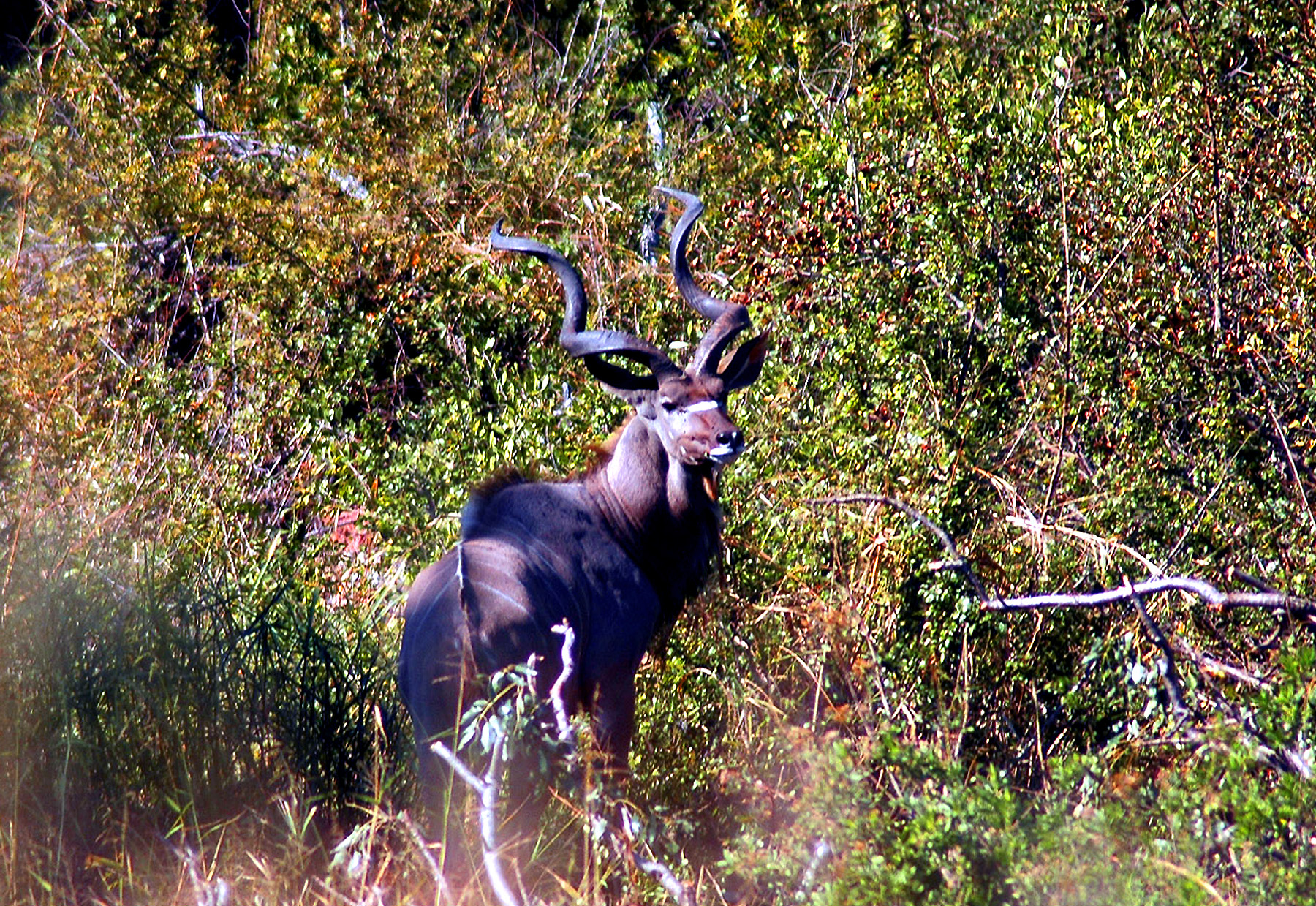 DSC_0329.jpg