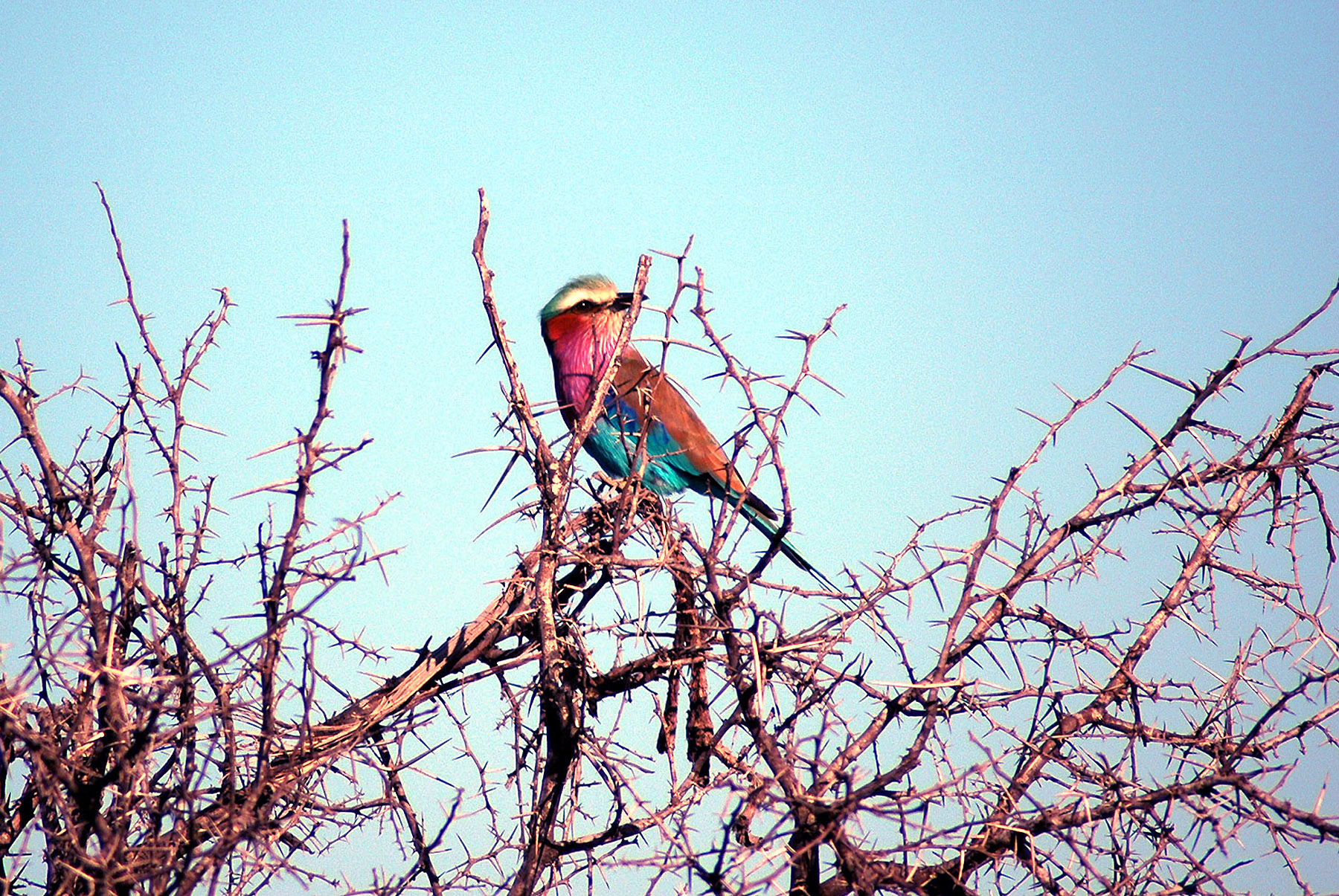DSC_0337.JPG