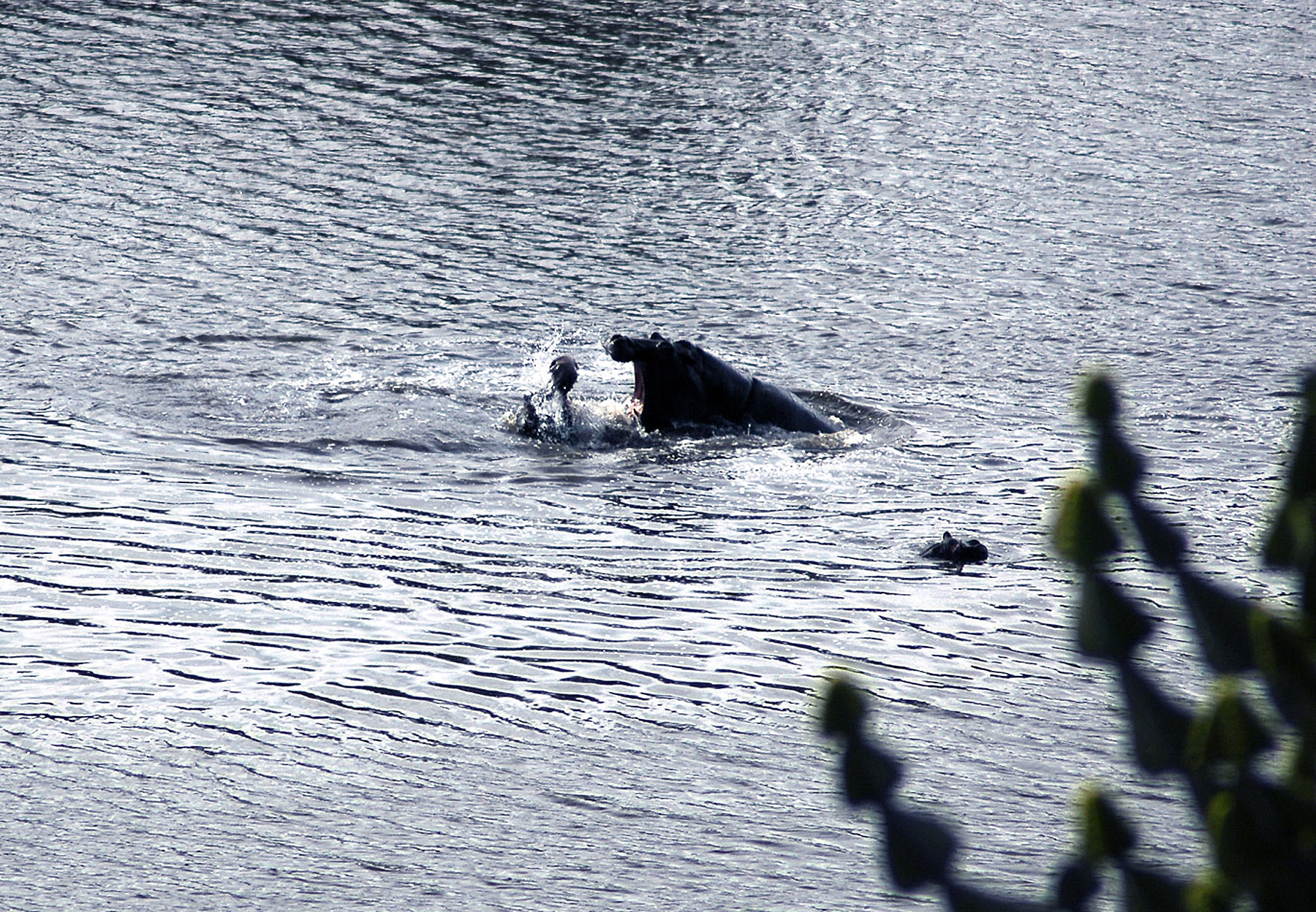 DSC_0392.JPG
