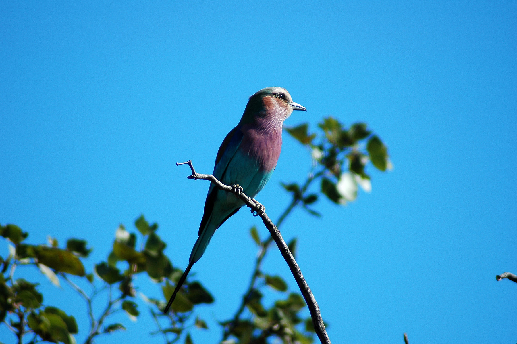 DSC_0504.jpg