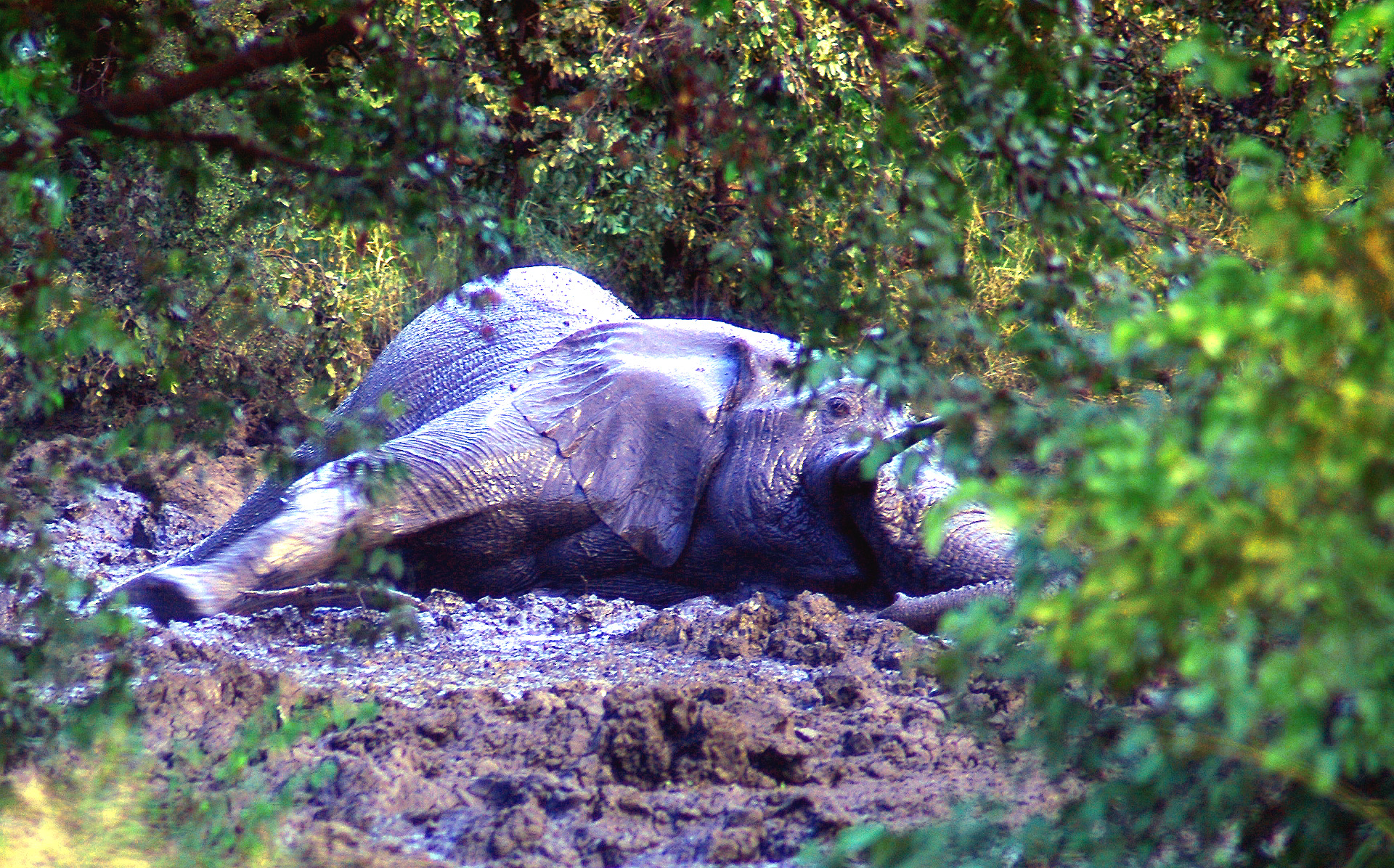 DSC_0515.jpg
