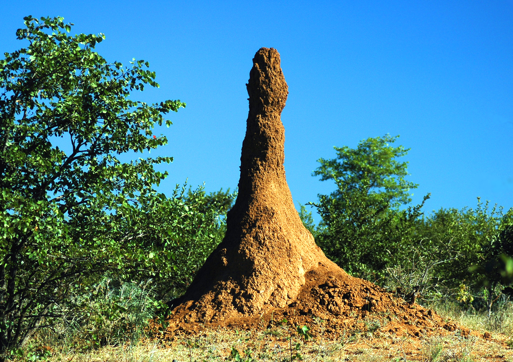 DSC_0637.jpg