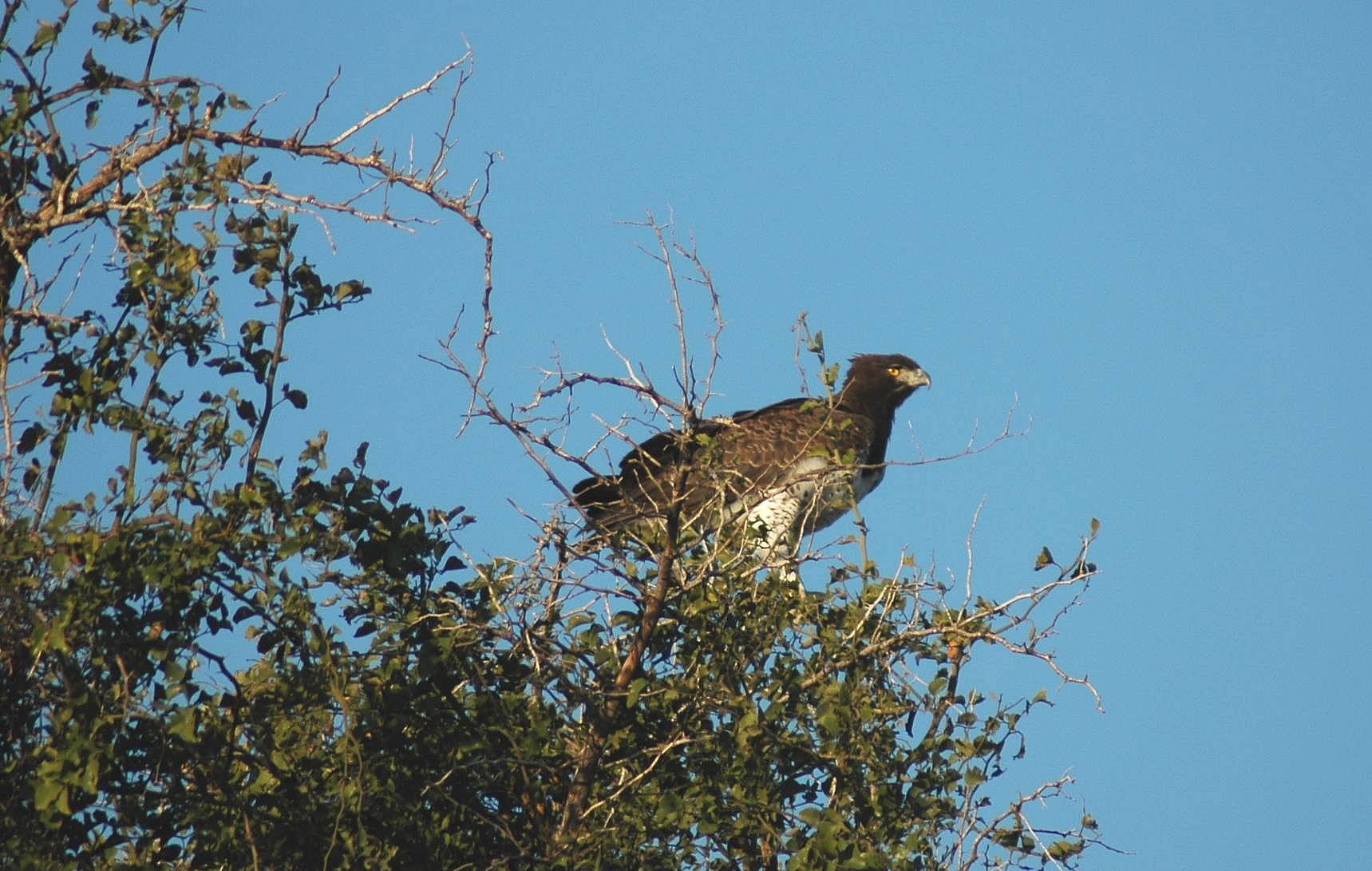 kruger-28.jpg