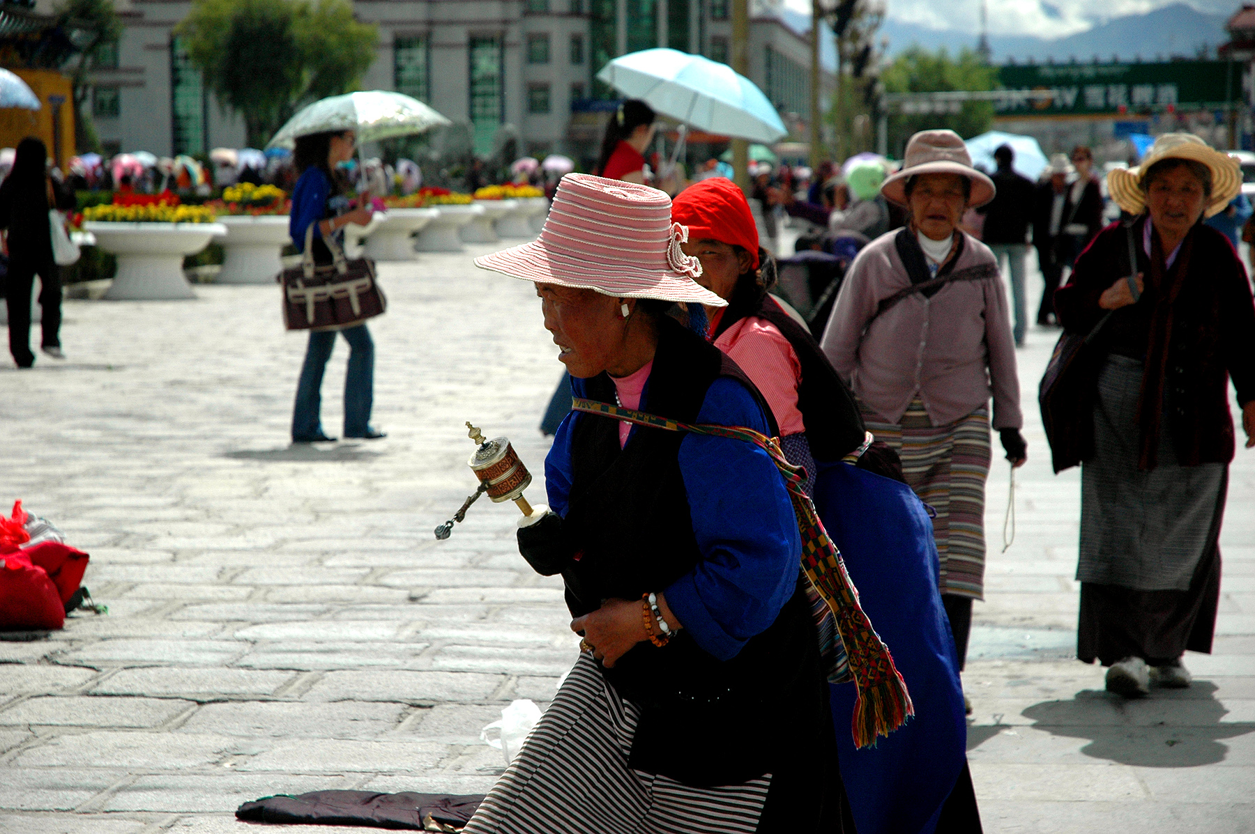 dsc_0933.jpg