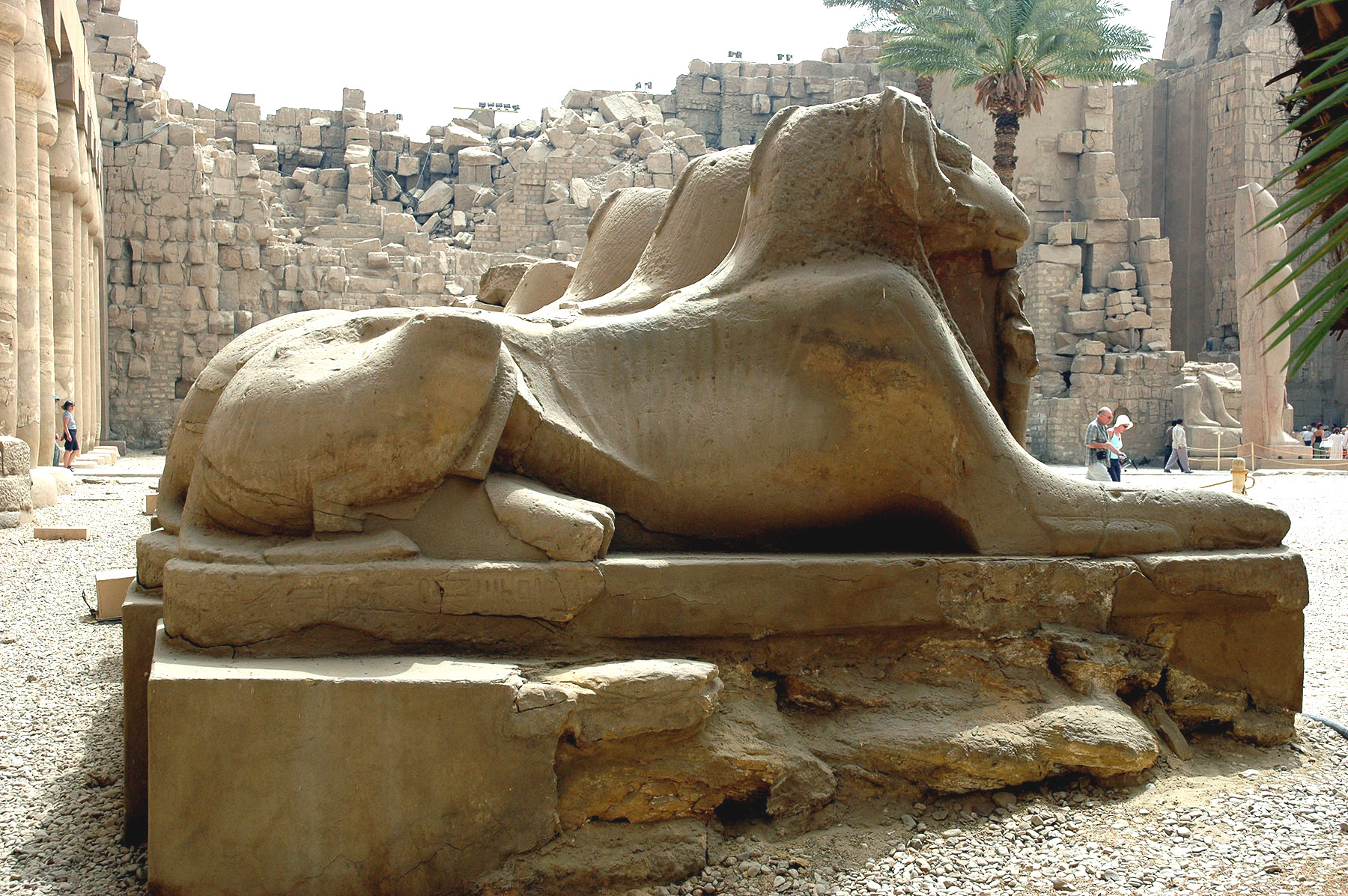 dsc_1082.jpg
