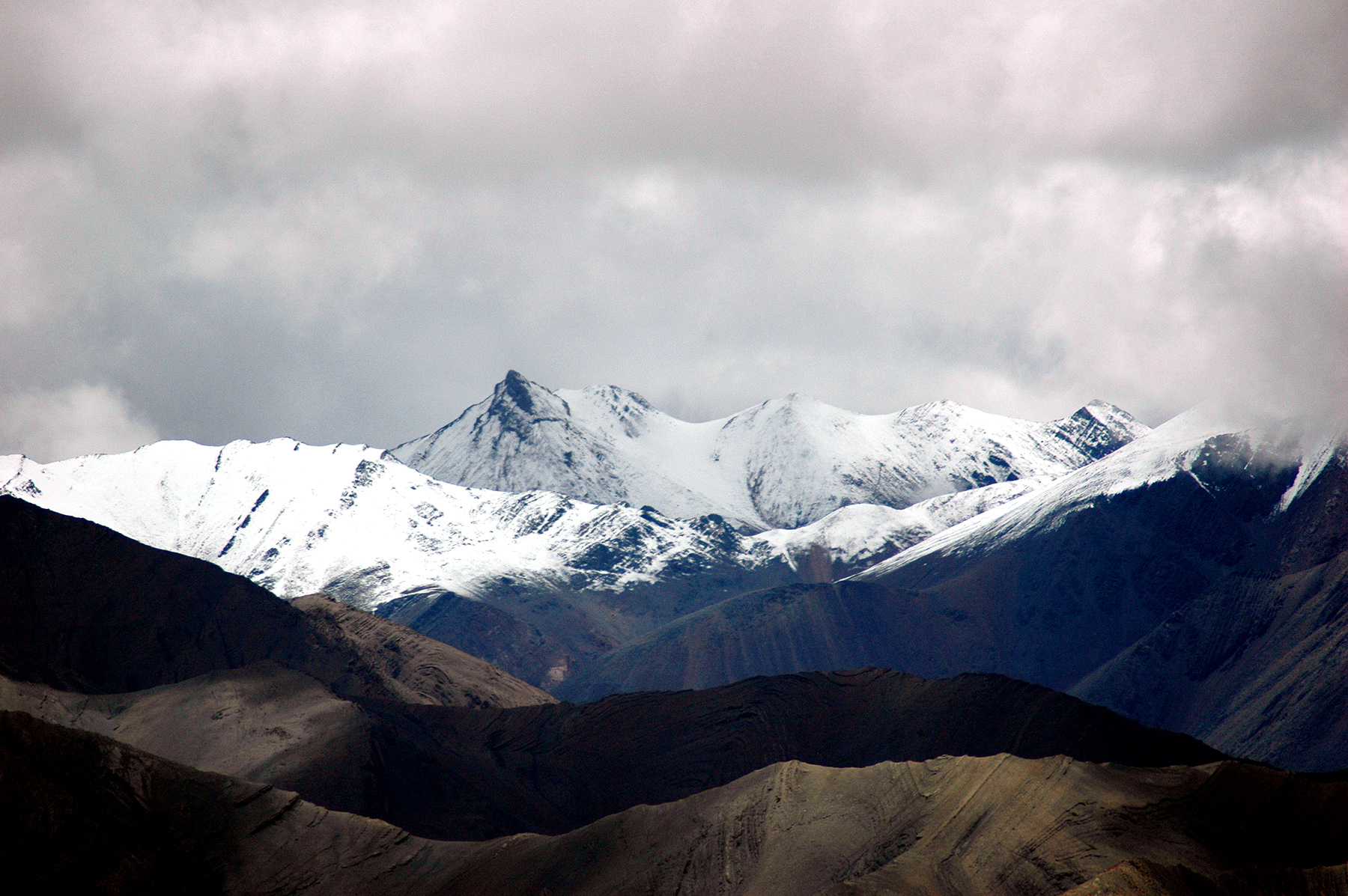 dsc_1206.jpg