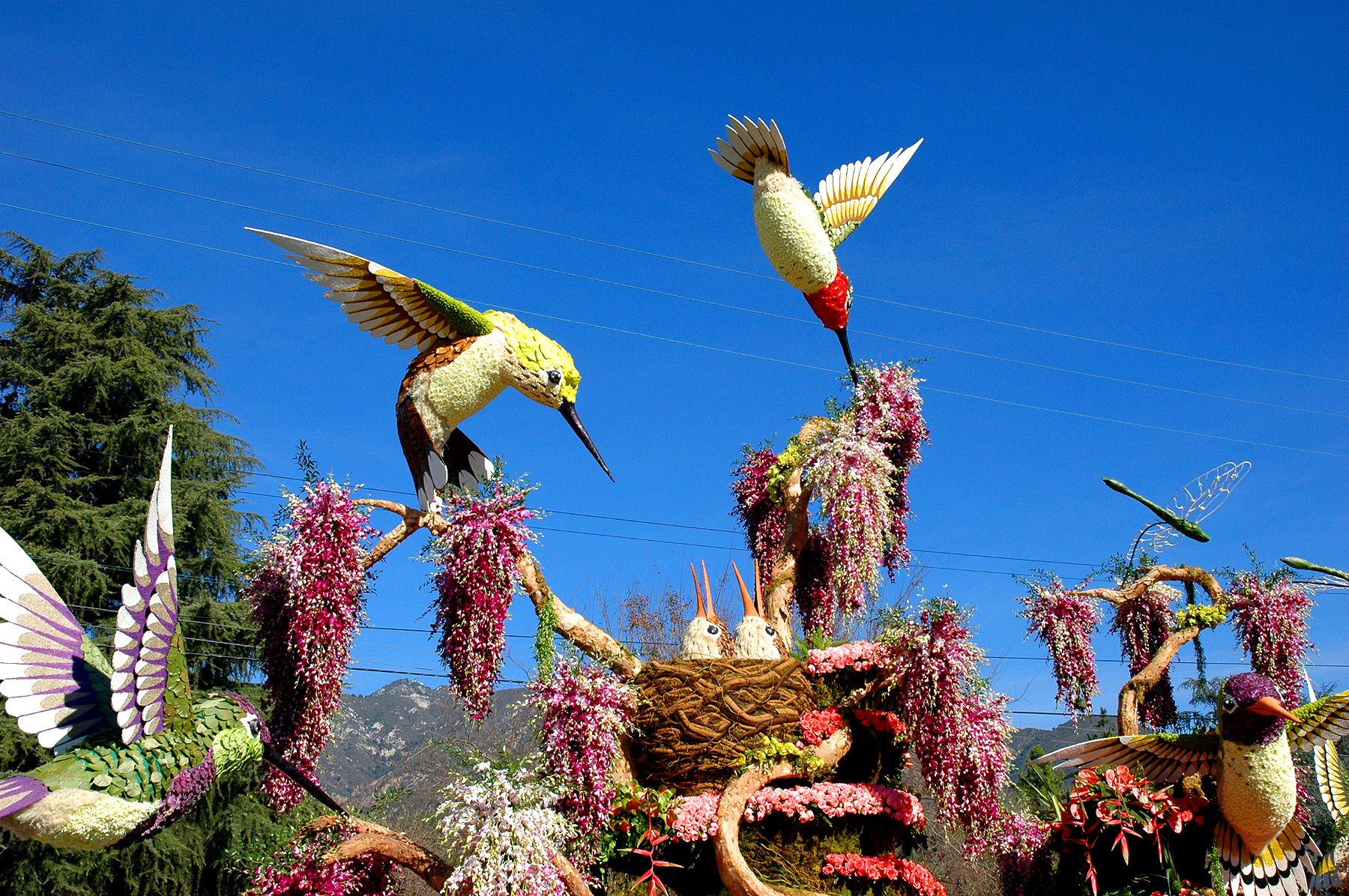DSC_4523.JPG