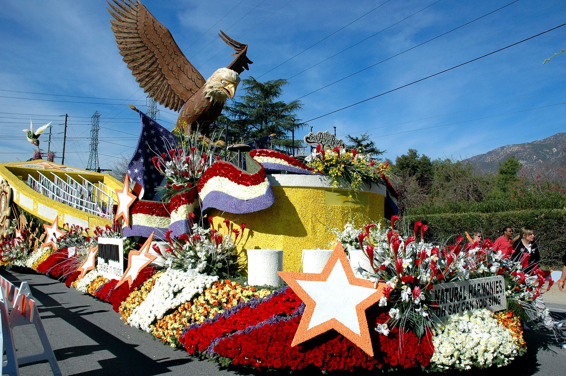 DSC_4529.JPG