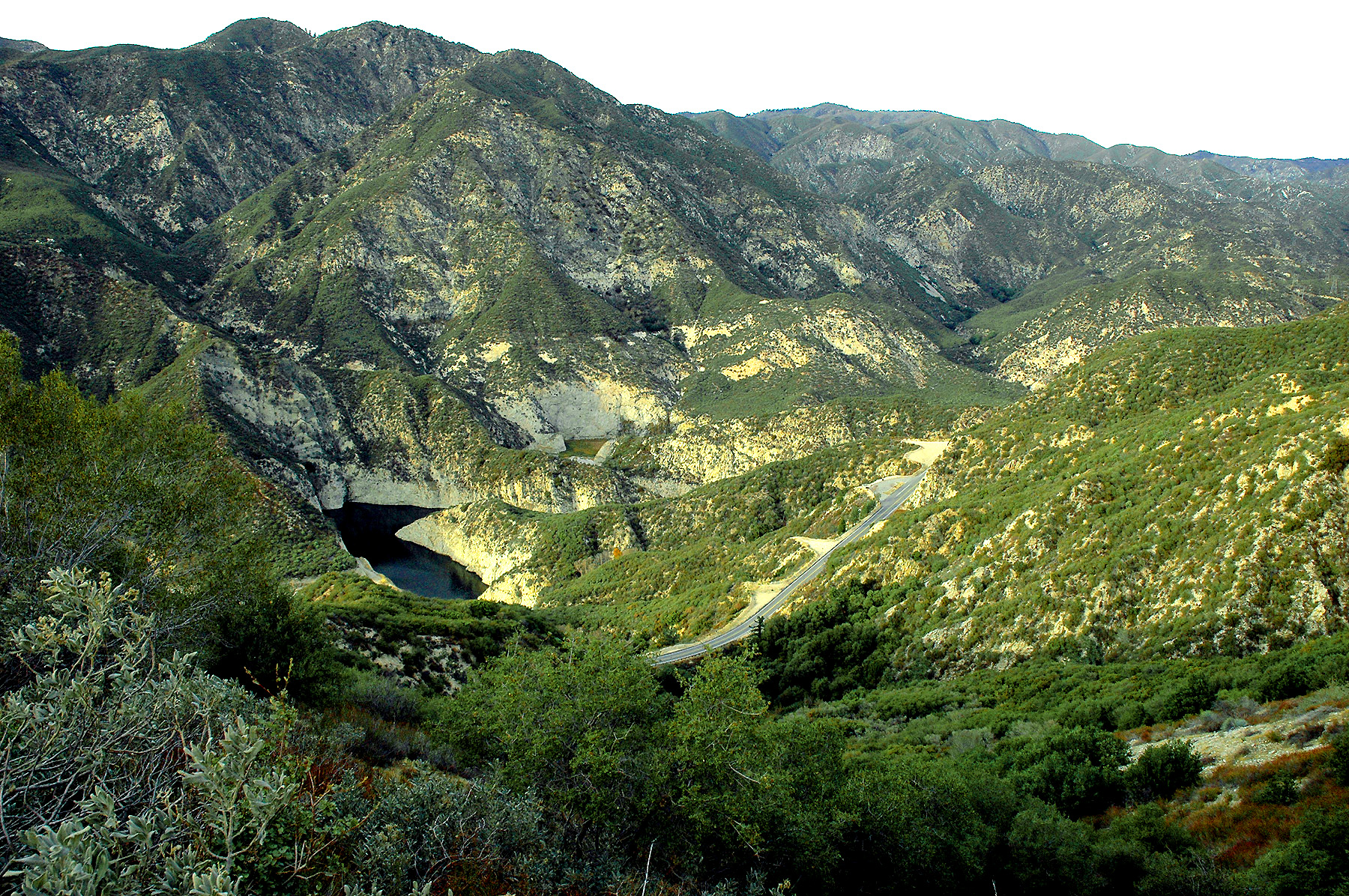 DSC_4582.JPG