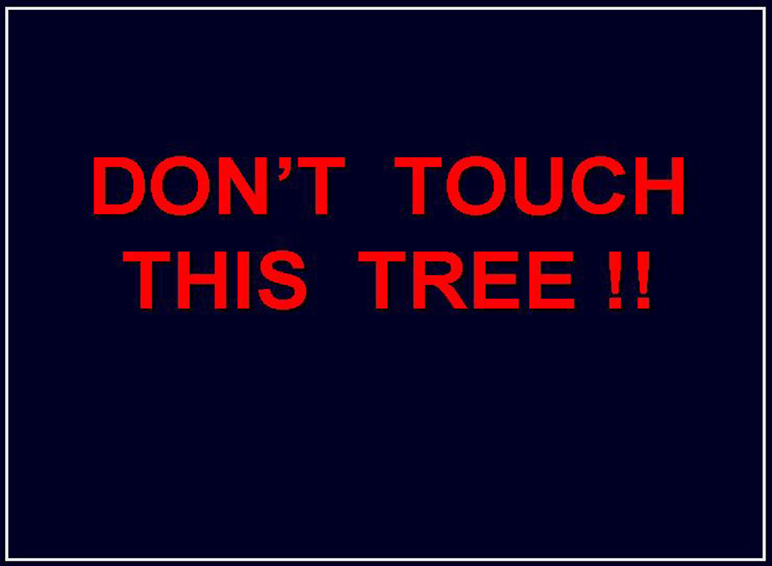 DSC_3729D - Slide03B - Dont Touch thisTree
