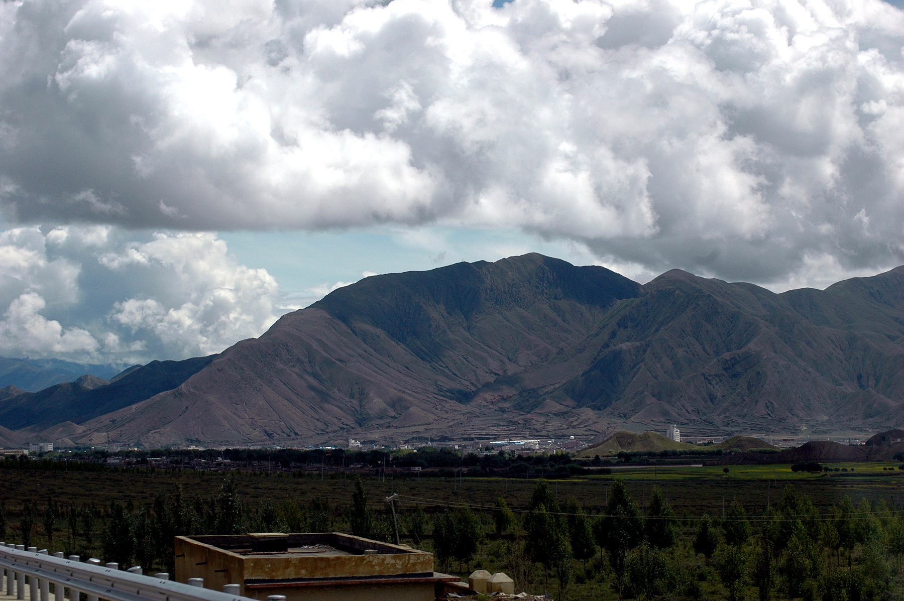 DSC_1347.JPG