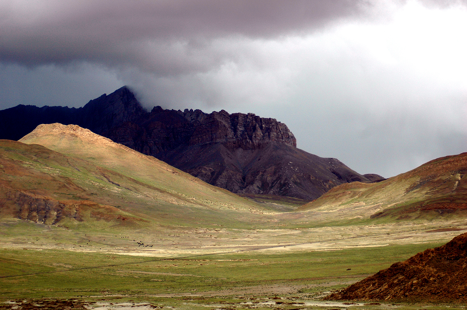 dsc_1234.jpg