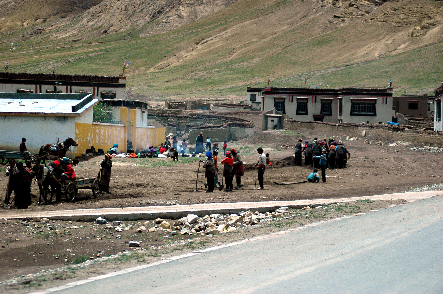 dsc_1255.jpg
