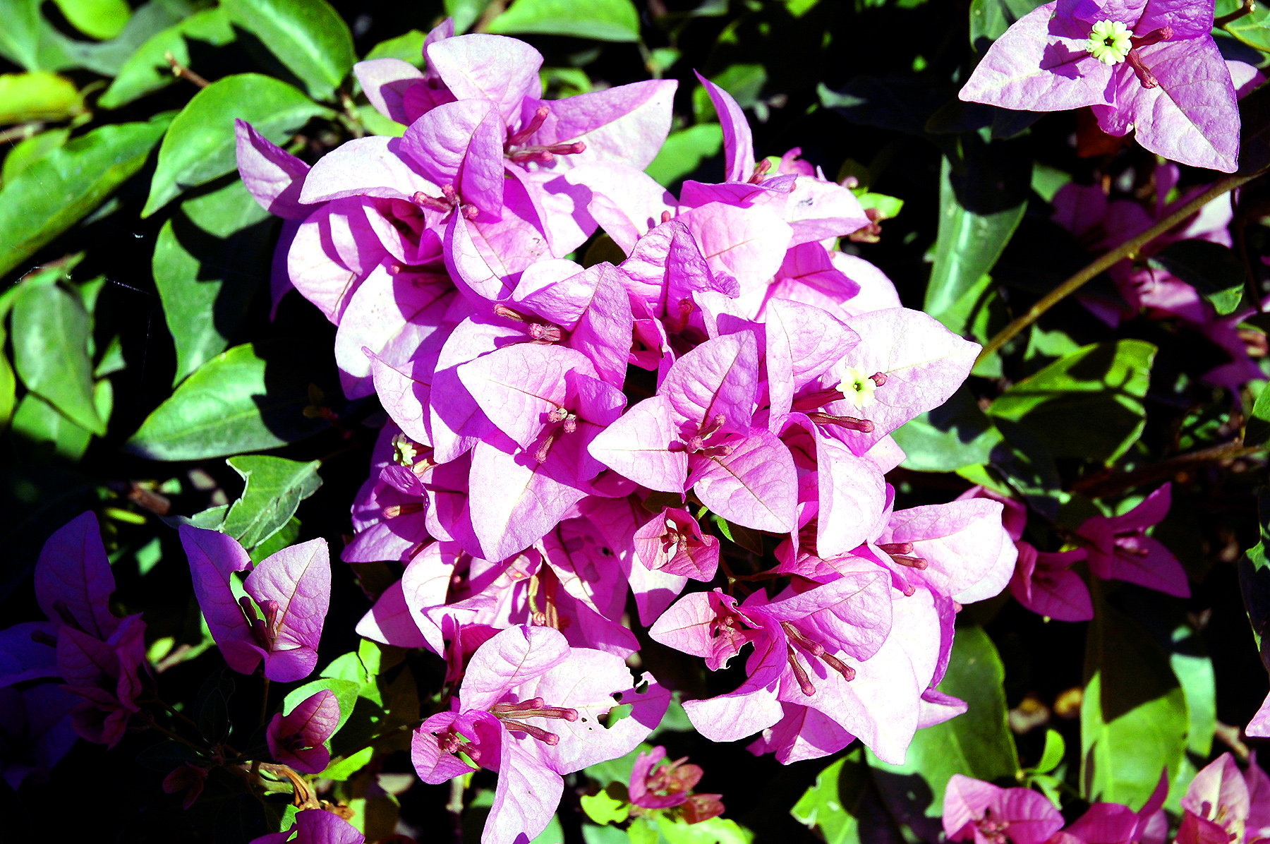 DSC_0188.JPG