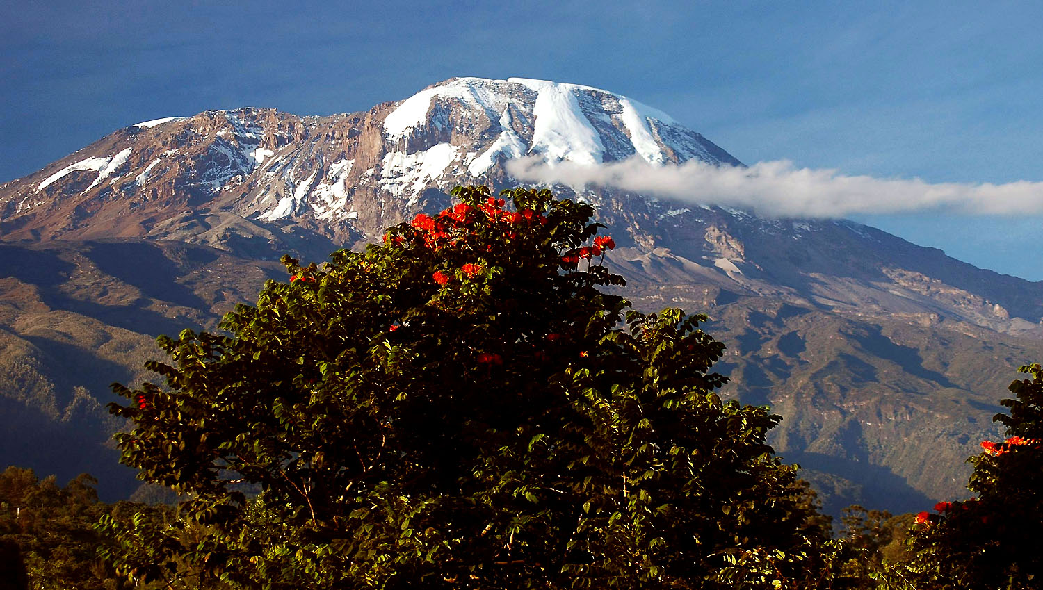 Kilimanjaro-04.jpg