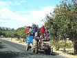 Arusha - 20 Men on a Tractor - 850.jpg