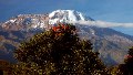 Kilimanjaro-04.jpg
