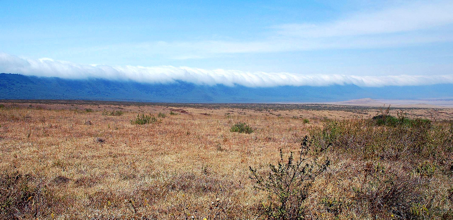 Ngoro-17.jpg