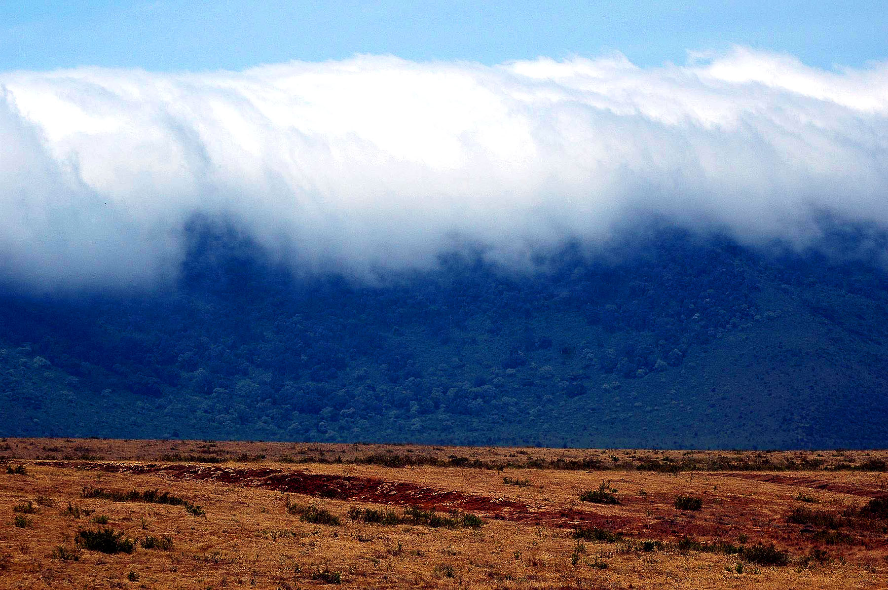 Ngoro-19.jpg