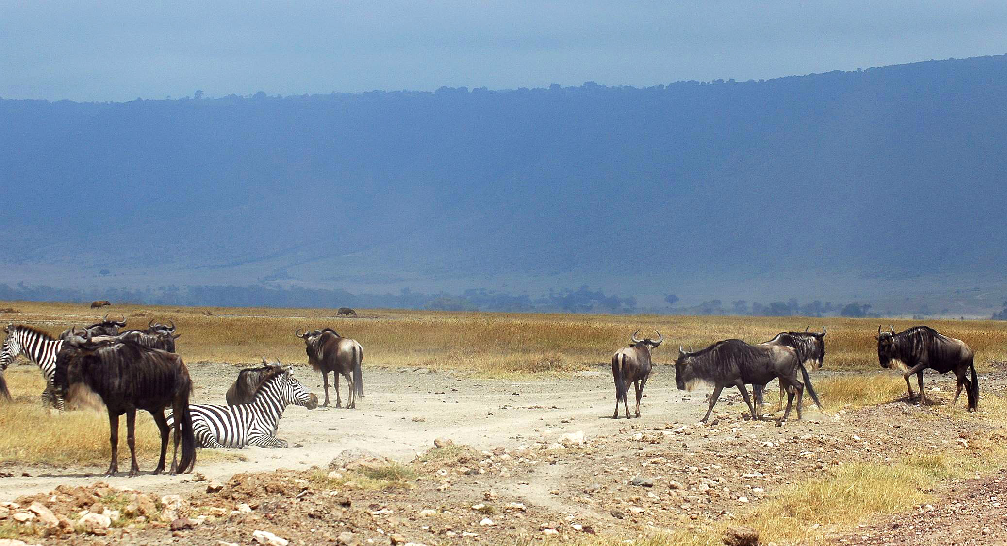 Ngoro-29.jpg