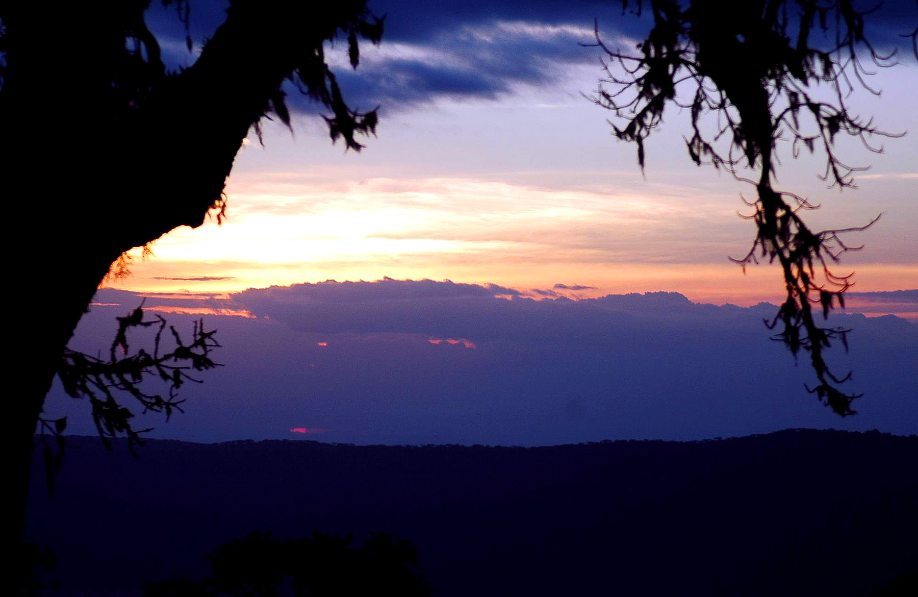Ngoro-41.jpg