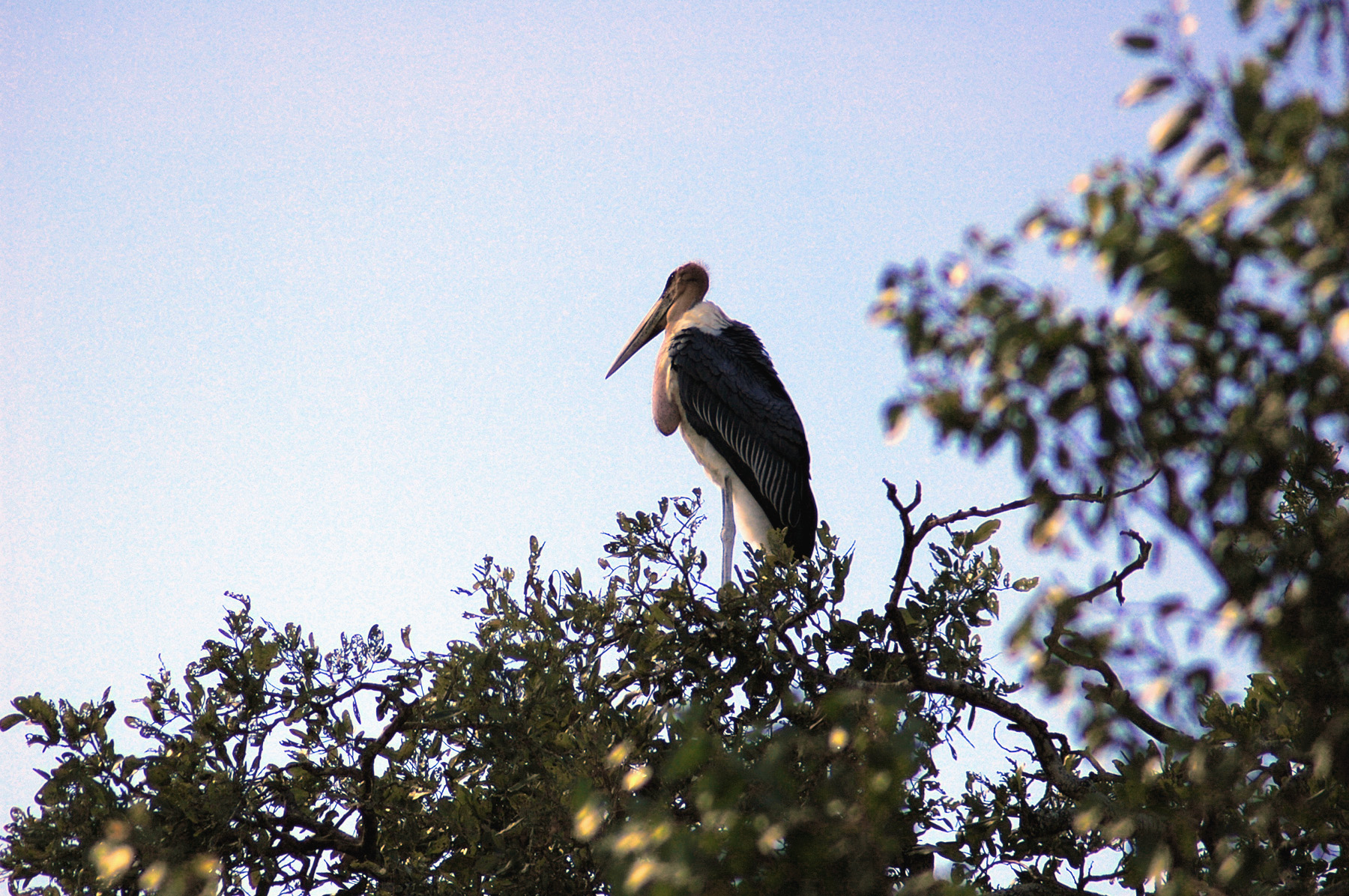 DSC_0535.jpg