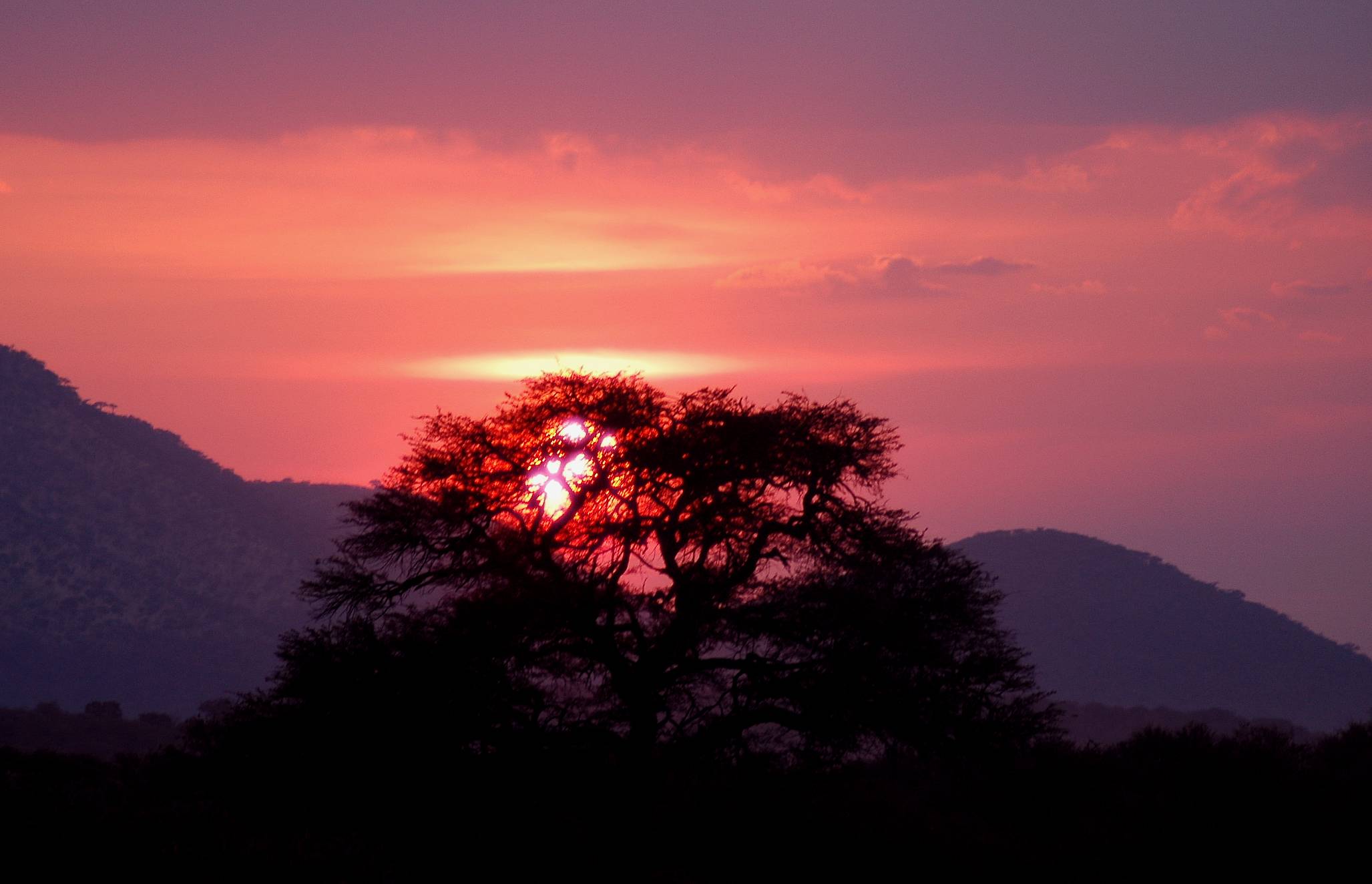 Serengeti-13.jpg
