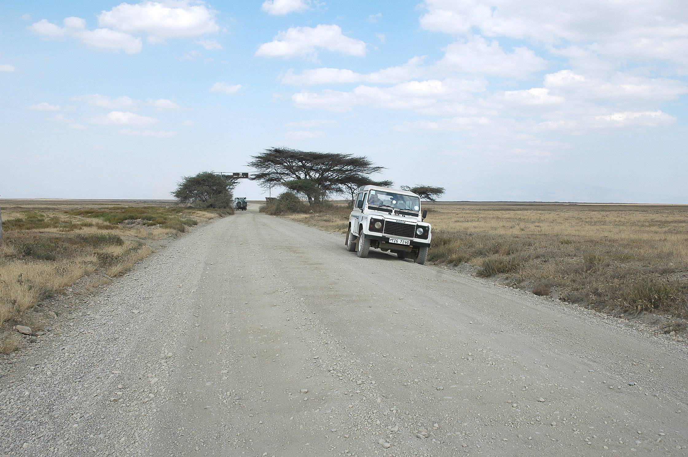 Serengeti-28.jpg
