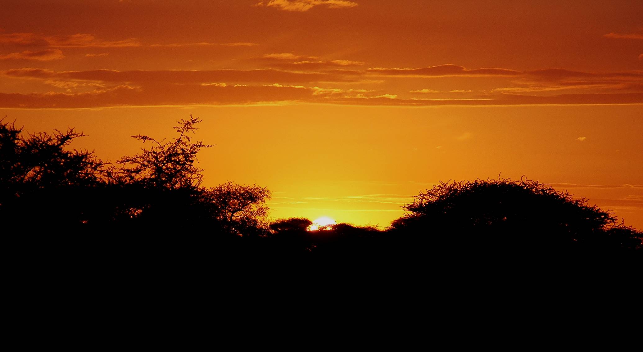 Serengeti-41.jpg