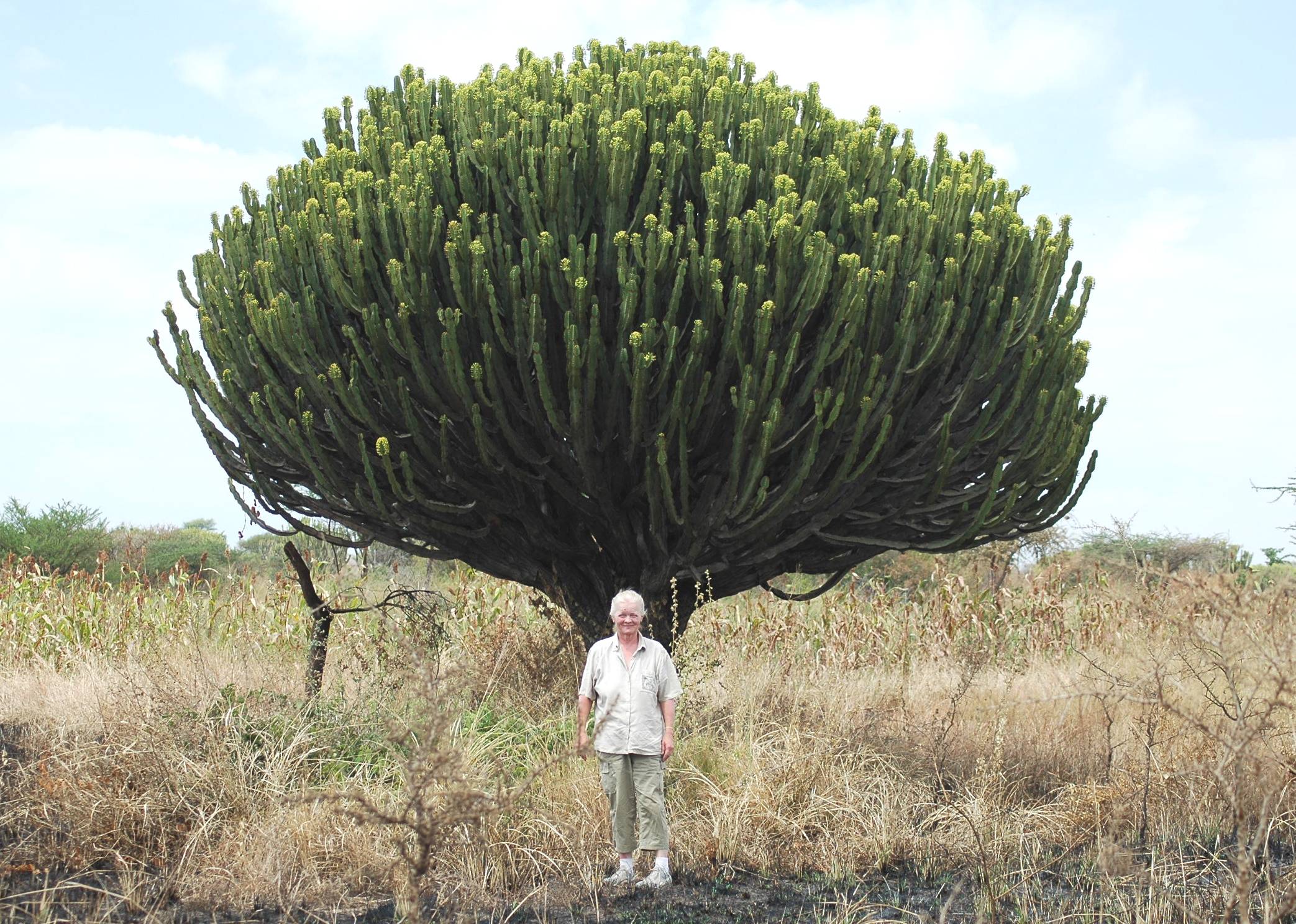 Serengeti-54.jpg
