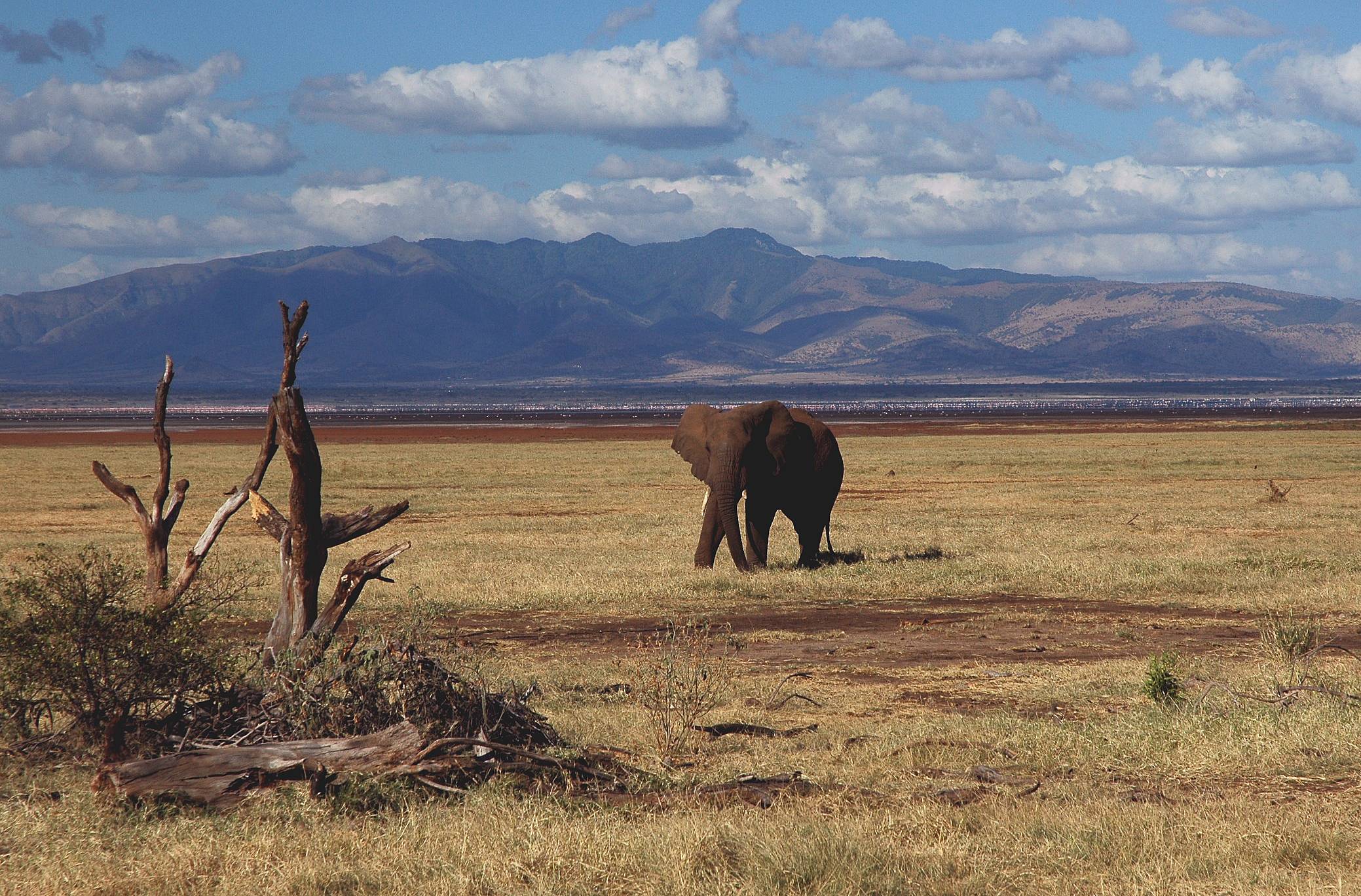 Manyara-03.jpg