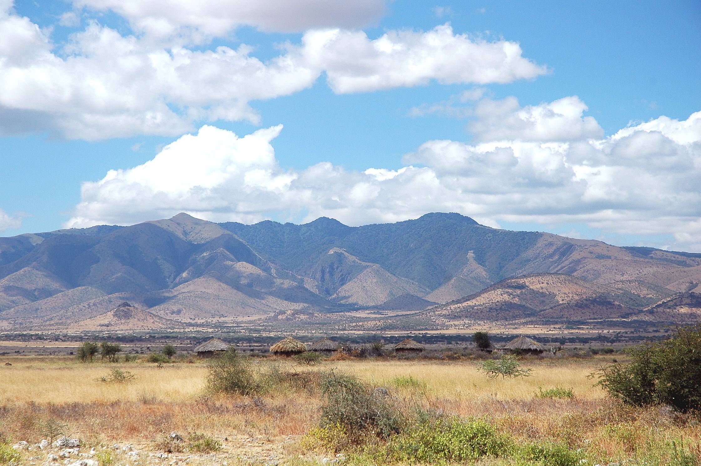 Manyara-16.jpg