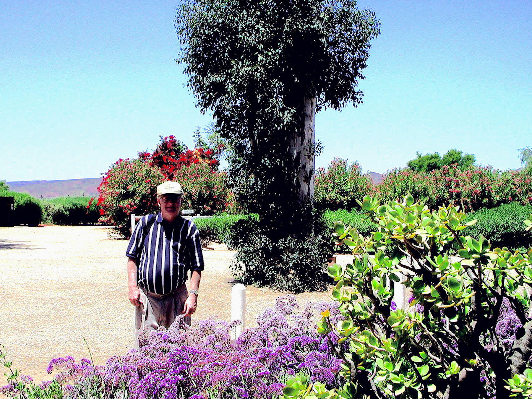 DSCN1069.JPG