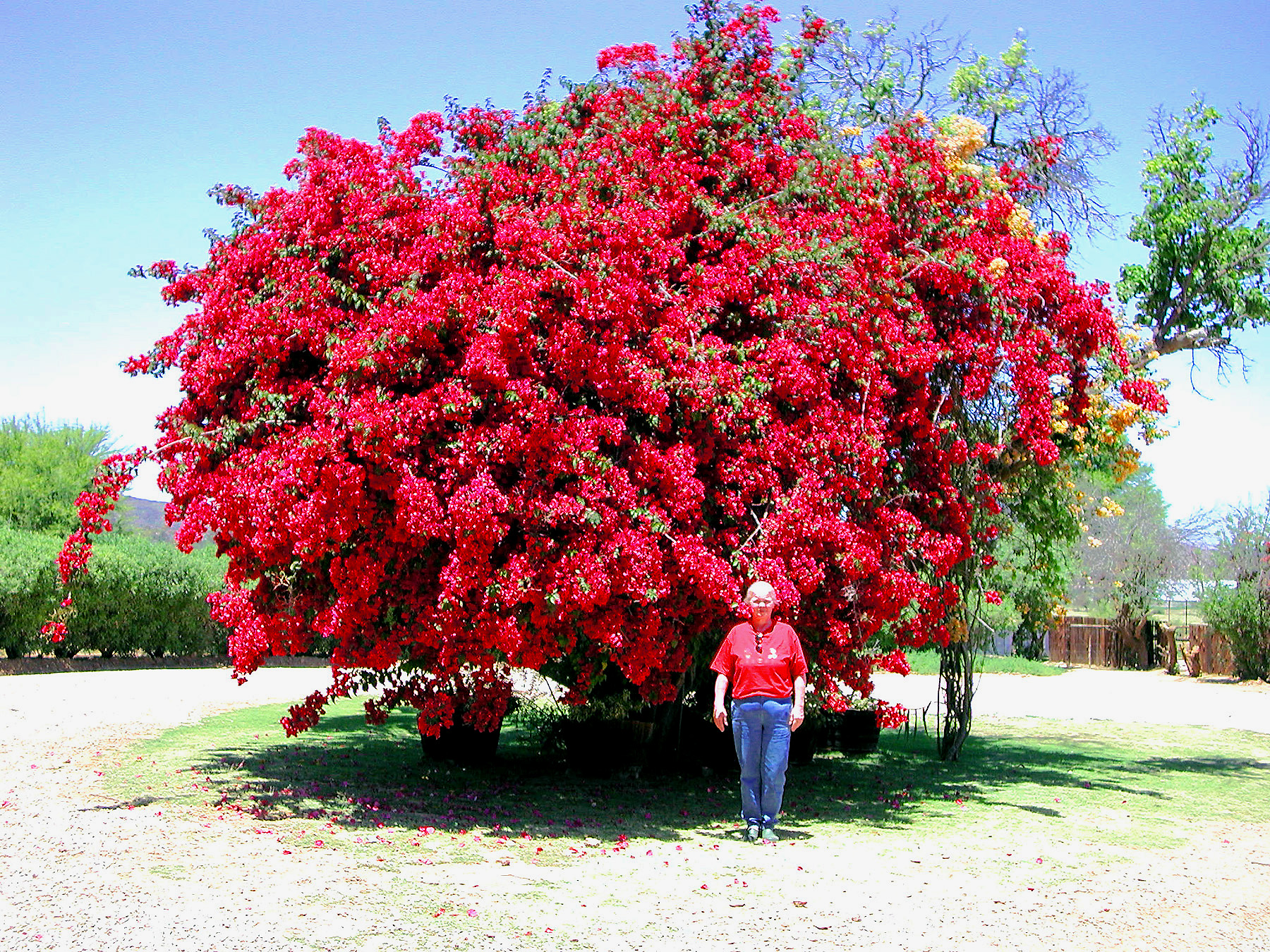 DSCN1070.JPG