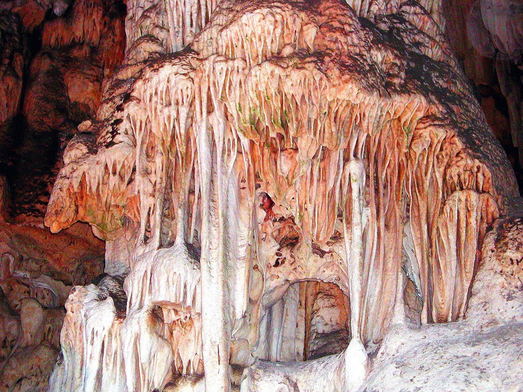 DSCN1086.JPG