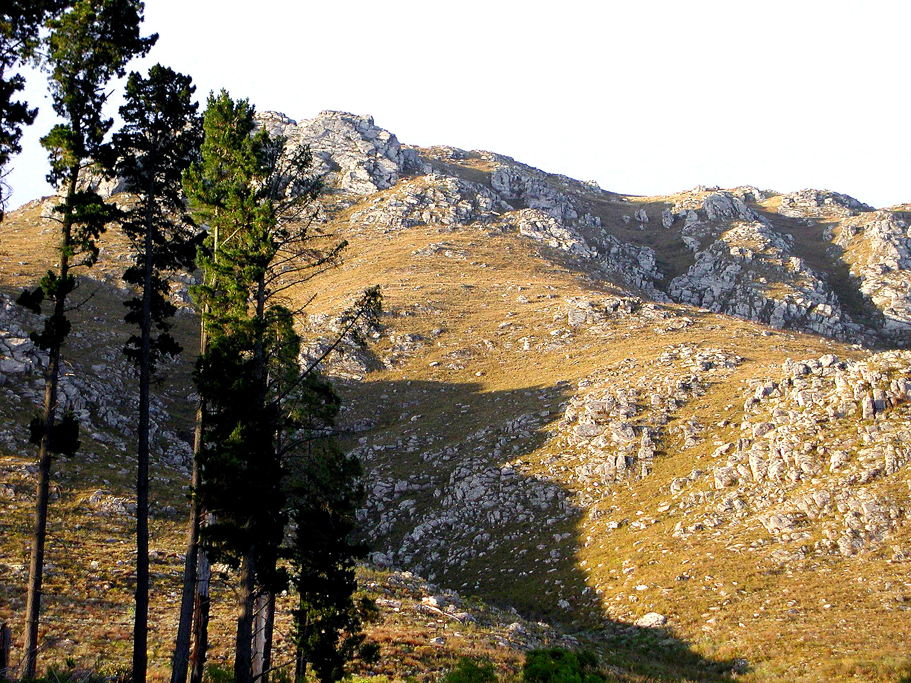 DSCN1122.JPG