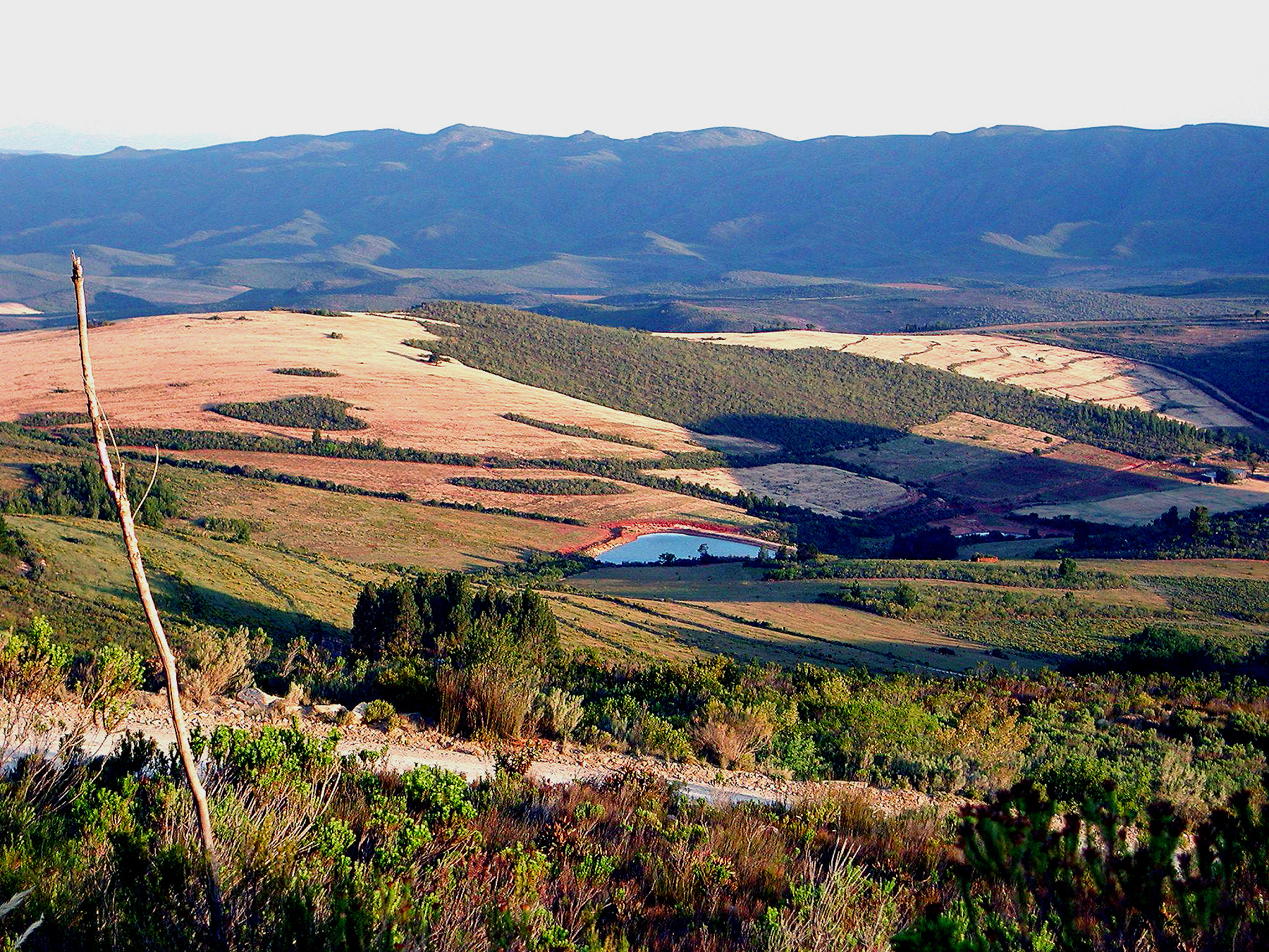 DSCN1133.JPG