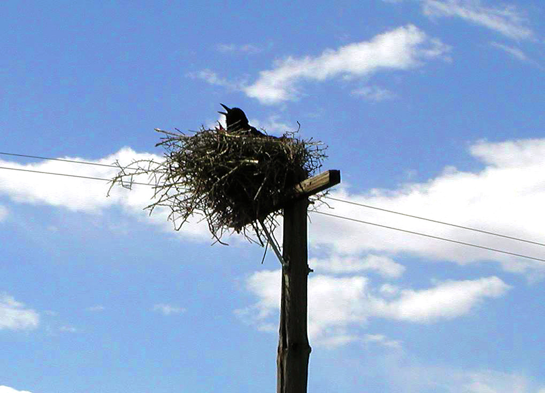 DSCN1159.JPG