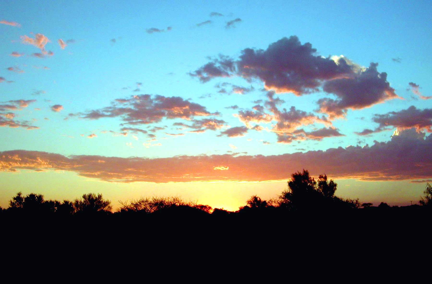 DSCN1203.JPG