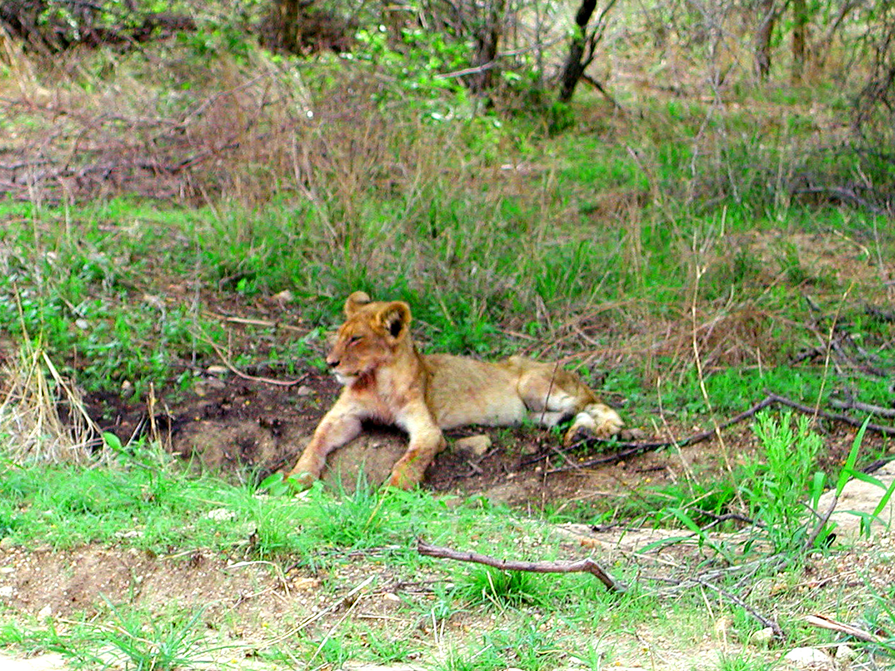 DSCN1413.JPG