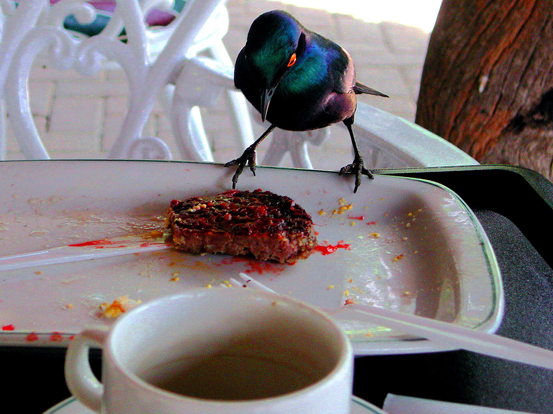 DSCN1417.JPG